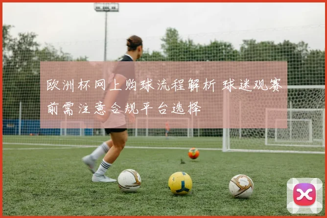 欧洲杯网上购球流程解析 球迷观赛前需注意合规平台选择